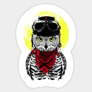 The Adventurer Owl Sticker